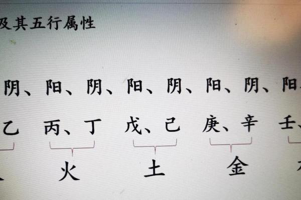 八字阳多