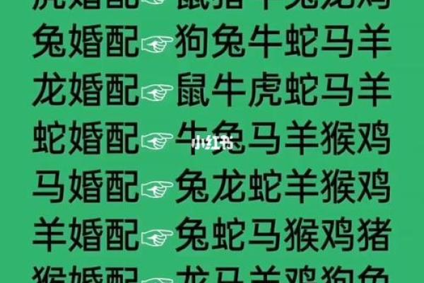 生肖婚姻更佳配对表大全 生肖婚姻更佳配对表大全