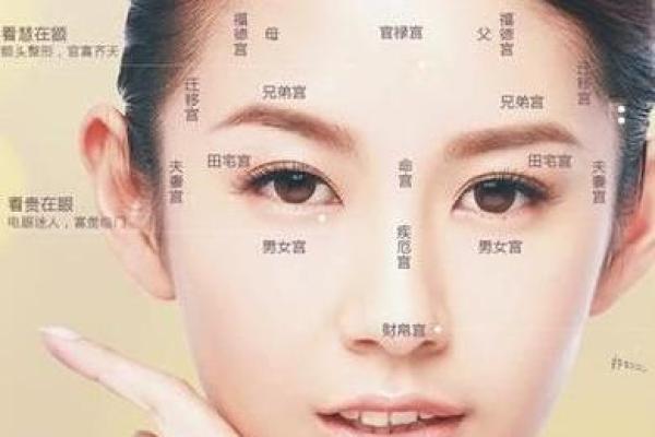 面相解析:额头面相算命图解 面相解析:额头面相算命图解