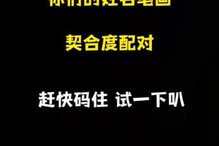 姓名契合度配对怎么进去 姓名契合度文案?