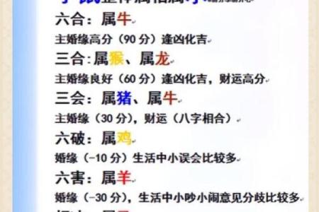 属马和什么属相最配对 属马和什么属相相冲