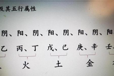 八字阳多