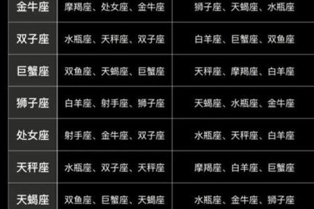 天马和什么星座配对最合适