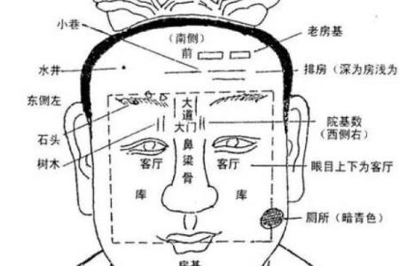 面相解析：额头面相算命图解