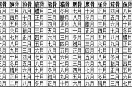 农历年月骨相算命图解,熊骨的人命好