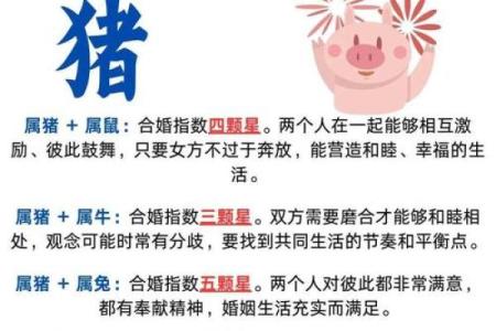 爱情长久的生肖配对