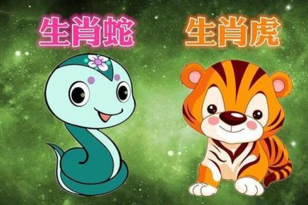 属蛇的男人应该与哪个生肖进行配对