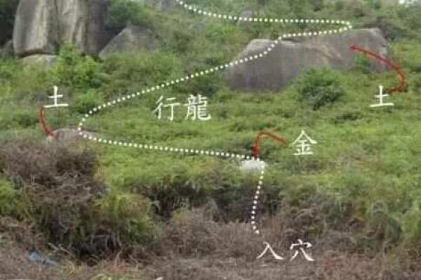 风水学中什么朝向的墓最好 风水学中什么朝向的墓最好