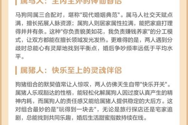 1982年属什么生肖多大年龄 1982年属什么生肖配对 1982年属什么生肖多大年龄 1982年属什么生肖配对