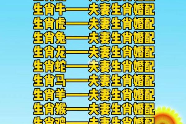 生肖配对什么生肖最好 最好的生肖组合 生肖配对什么生肖最好 最好的生肖组合