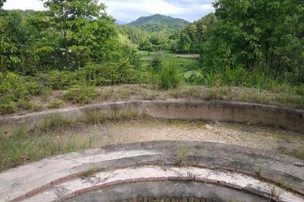 金口诀排好盘后怎么看