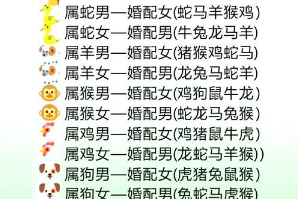 属相猪的性格特点及其与其他属相的配对 属相猪的性格特点及其与其他属相的配对