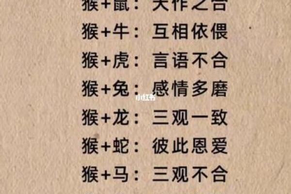 生肖马的姻缘配对,哪些生肖最合适? 生肖马的姻缘配对,哪些生肖最合适?