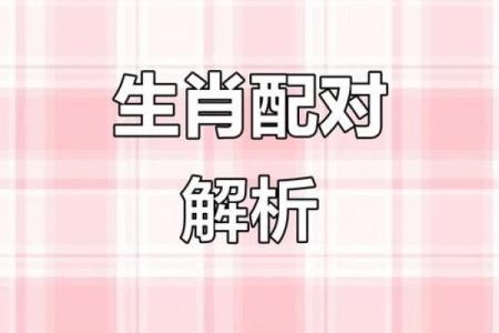 生肖配对,是什么道理?啥属相不合?终于明白了