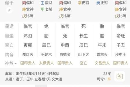 八字-论丁巳日甲辰时