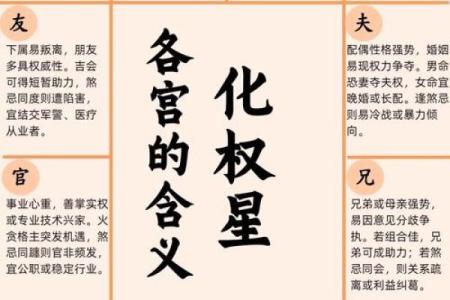 紫薇斗数星辰详解