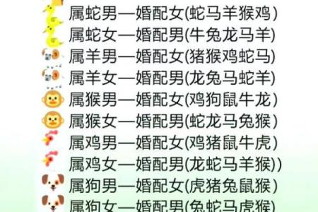 属相猪的性格特点及其与其他属相的配对