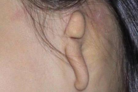 风水天生耳朵小的人运势