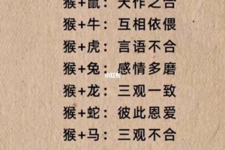 生肖马的姻缘配对,哪些生肖最合适?