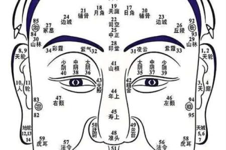 八字脸是什么脸型  八字脸的男人面相