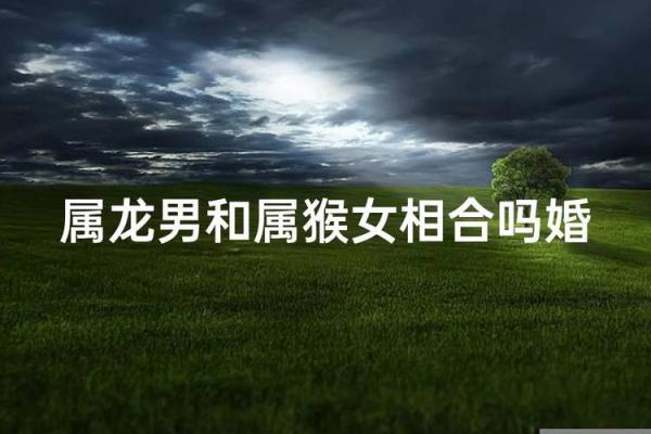 属猴男和什么属相配对 属猴男和什么属相配对