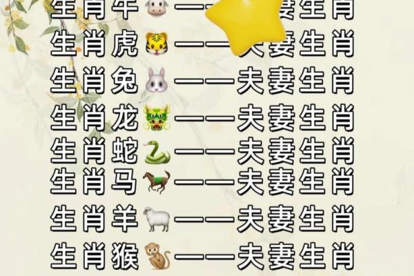 婚姻属相配对查询属马 哪些属相与属马最相配