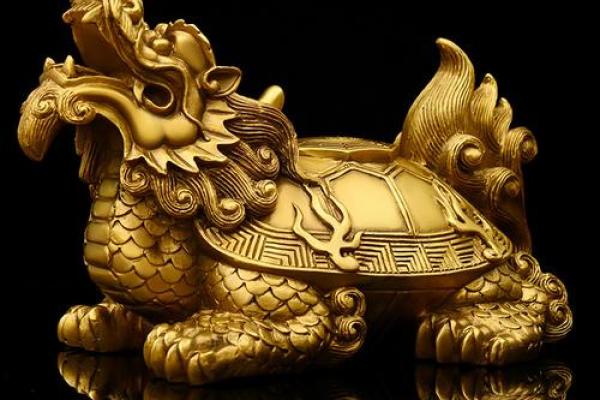 风水的方位_乌龟代表哪个方向