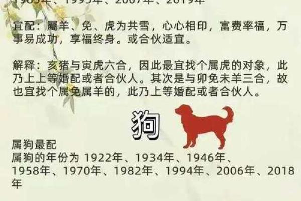 99年属什么今年多大 生肖配对 99年属什么今年多大 生肖配对