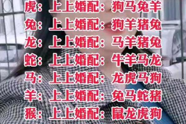 鼠狗生肖配对姻缘合适吗 鼠狗婚配的婚姻如何? 鼠狗生肖配对姻缘合适吗 鼠狗婚配的婚姻如何?