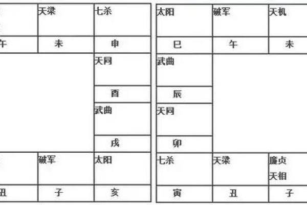 紫薇斗数美女盘