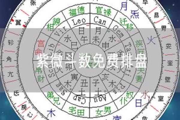 紫薇斗数星盘图片 紫薇斗数星盘图片