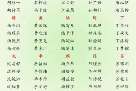 根据宝宝生辰八字起名,起名步骤,适合猪年男孩女孩的名字推荐