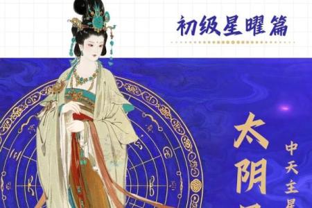 倪师设计紫薇斗数