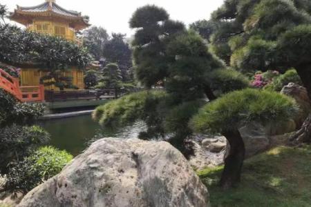 见了“黄大仙”,这事不一般,农民很为难