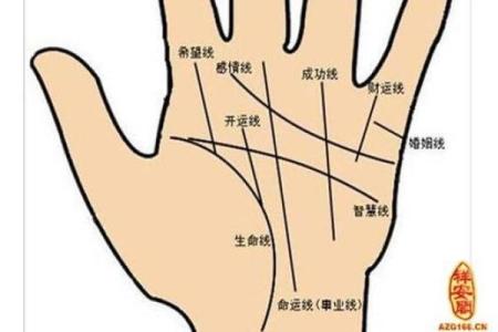 手相算命话语,手相算命说法