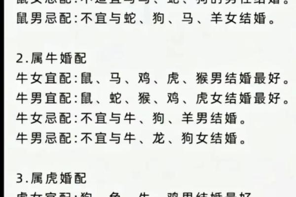 兔鼠生肖配对姻缘 兔与鼠的婚姻相配吗 兔鼠生肖配对姻缘 兔与鼠的婚姻相配吗