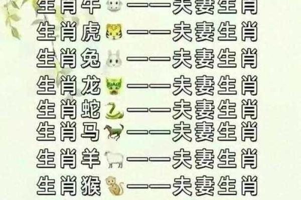十二生肖不能结婚配对