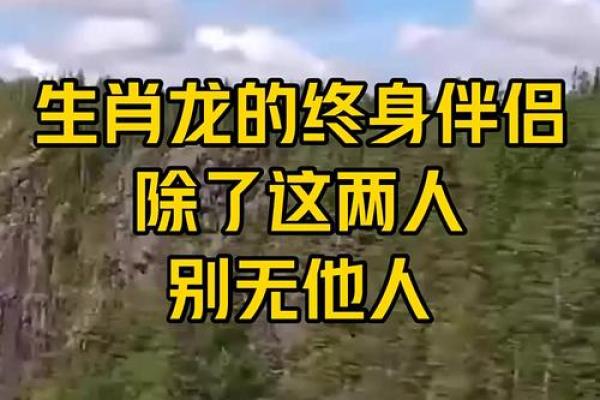 生肖龙和配对的魂伴 生肖龙和配对的魂伴