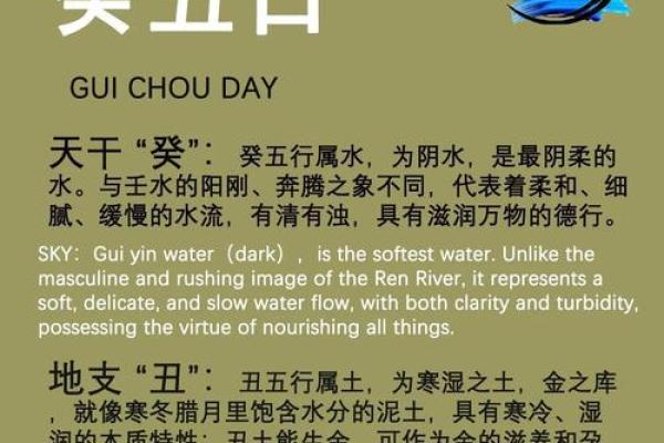 癸日的八字 癸日的八字