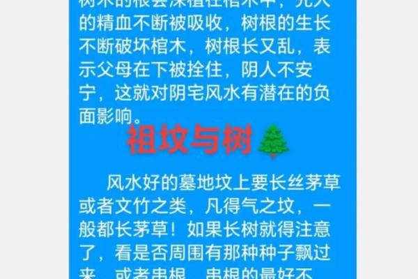 十大墓地风水禁忌有哪些