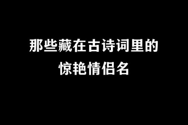 寻找有情人姓名配对 寻找有情人的诗句？