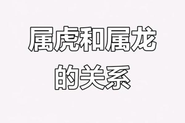 虎与最佳配鱼是什么  虎的最佳配对是什么