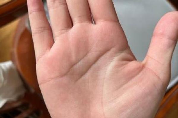 风水川字掌手相男人的命运解析