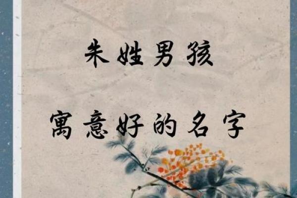 朱姓名字男女配对 朱姓配什么字取名有意义？