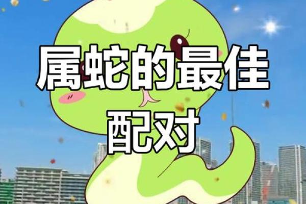 属牛和属蛇合不合 属牛属蛇配对可行吗 属牛和属蛇合不合 属牛属蛇配对可行吗