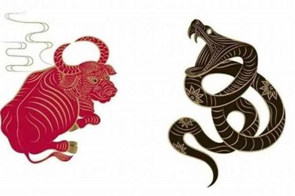 属牛和属蛇合不合 属牛属蛇配对可行吗 属牛和属蛇合不合 属牛属蛇配对可行吗