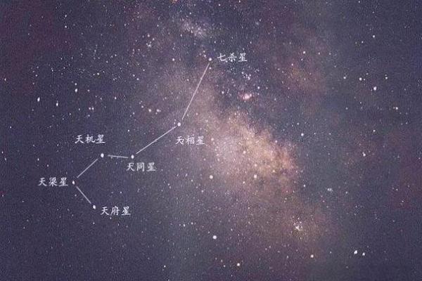 大熊星座的主要特征 大熊星座的主要特征