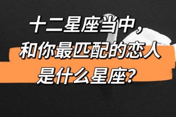 双子座和射手配对吗