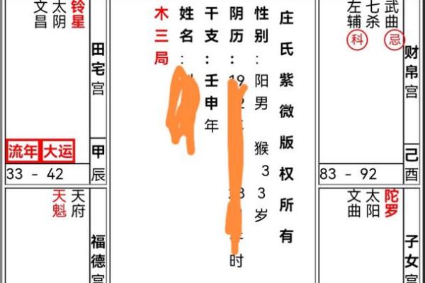 紫微斗数命宫在寅紫薇天府 紫微斗数命宫在寅紫薇天府