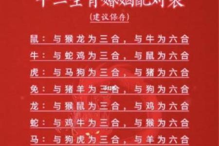 龙的生肖配对什么生肖最好